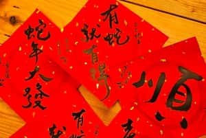 【有蛇就有得｜專欄】蛇年黑故事與黑歷史——〈捕蛇者說〉