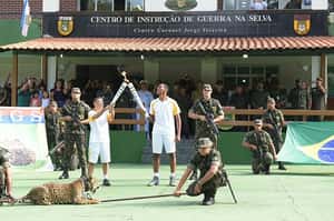 替巴西奧運亮相 美洲豹下秒遭槍殺