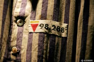 不能忘記的殘酷  國際大屠殺紀念日