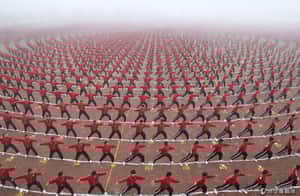 不只提水桶和拳腳功夫   人一多的少林武術也能美得像幅畫