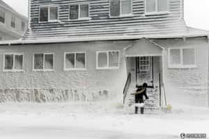 春節期間大事記   蛇年要聞一把抓