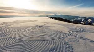 「原本只是覺得好玩」   英藝術家每天走4萬步結果成了讓人讚嘆的作品