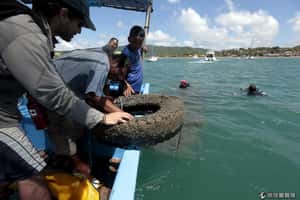 打造海底新樂園？  法國「輪胎暗礁」宣告失敗