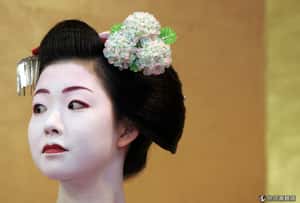 存古都風貌 京都掛招牌法令嚴