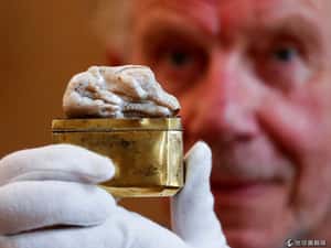 全球最大淡水珍珠    「沉睡之獅」拍賣價破千萬