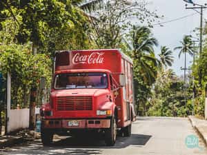 新品優先嘗！美國可口可樂推網購超限量VIP訂閱制，3小時搶光！