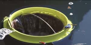 一個水桶救海洋   澳發明家打造神奇垃圾桶