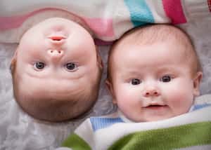 一對雙胞胎兩個爸    越南罕見案例獲關注