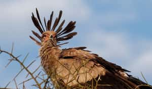 【地球 24小時】07/16  今日我最美