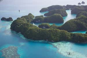 挺台灣到最後一刻  帛琉力抗中國觀光客銳減潮