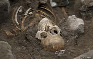 考古學家發現世界最早癌症