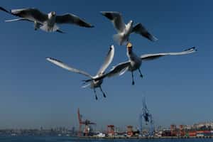 【地球 24小時】02/26 等等我啦！