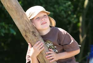 荷蘭夏日育兒傳統：找個深夜，把小孩「放生」到森林裡