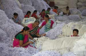 印度成為全球紙類回收王 每年接收千萬噸歐美國家廢紙