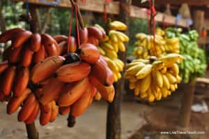 想要吃得更健康？用「紅綠燈」標誌有幫助