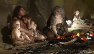 體型小沒肉熱量不高 史前人類吃人不全是為了營養