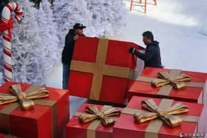 紐約客熱烈迎聖誕 萬盞燈光點亮夜空