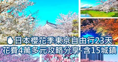 東京自由行行程省錢攻略🌸櫻花季23天花費4萬多元(富士山 日光 靜岡等15城鎮景點)