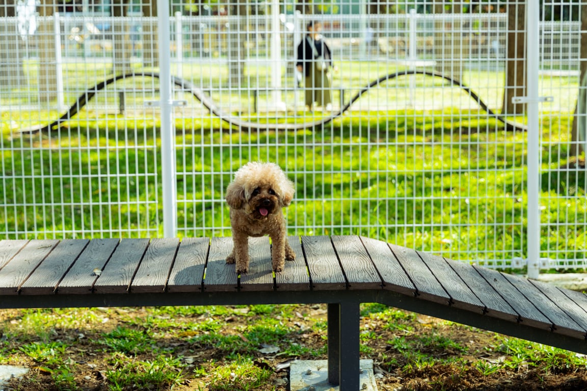 燕巢南燕公園「寵物活動區」打造毛孩專屬天地