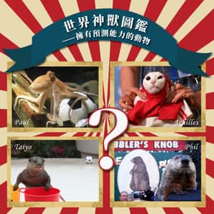 世界神獸圖鑑　擁有預測能力的動物們