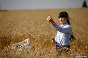 Kibbutz: 以色列的烏托邦實驗