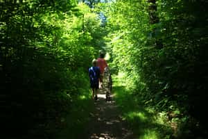 瑞典全民瘋山林 安全教育從小做起