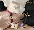 哈利波特周邊登場！台灣限定金探子一卡通、巧克力蛙，旅遊控必收5款魔法單品