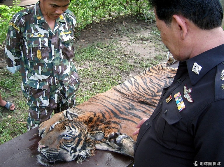 文章插圖