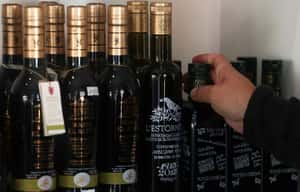 橄欖樹瘟疫大流行 傳遍南歐三大產區的「橄欖樹痲瘋病」