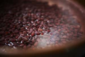 【地球放映室】銅鑼燒裡有洋蔥   電影「戀戀銅鑼燒」告訴你從挫折中繼續向前的魔法