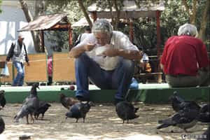 買不起食物  希臘出現糧食危機