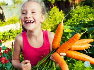 胡蘿蔔為什麼多數都是橘色的？傳說跟荷蘭王室有關？