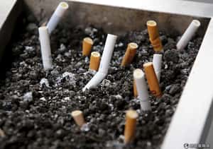 菸屁股也能再利用  澳洲學者想出「菸蒂磚塊」節能愛地球