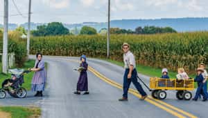 21世紀的隱居者—拒絕汽車、網路、電力的阿米什人