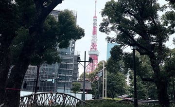 最近在東京探索了一些超棒的小眾體驗和行程安排，真的想推薦給喜歡深度旅遊的朋友們～✨