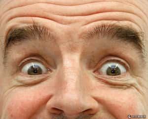 「沒了它，什麼表情都難做」  眉毛演化新理論