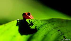 本周要聞回顧：11/24-11/30