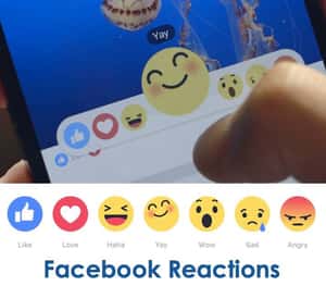 臉書「新版讚鈕」幾周內登場