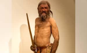 最後一餐吃什麼？全歐最古老木乃伊「冰人奧茨」揭密