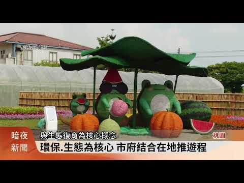 觀音區夏日限定 2025桃園蓮花季登場