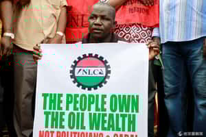 「復仇者」惹的禍 奈國全國罷工抗議