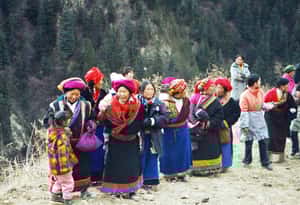 「女人啊，你的名字是代罪羔羊？」東方女巫傳說──羌族毒藥貓