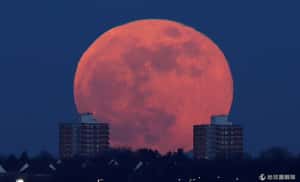 發生了3個「剛好」罕見的超級藍血月亮來了！
