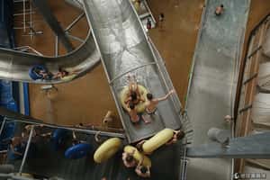 避冬勝地  德國熱帶樂園充滿夏日島國風情