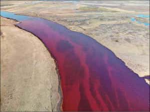 北極圈的哀號：俄國柴油外洩 普亭宣布緊急狀態