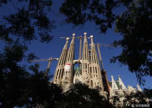 加泰隆尼亞奇想：公車變身空中花園