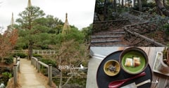 日本  白鳥庭園｜ 日本庭園造景 X 汐入茶寮 