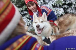 看了就暖暖 可愛哈士奇特輯