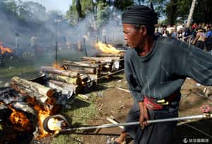 祈求淨化轉生  印尼烏布火葬儀式