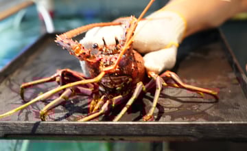 高雄鐵板燒推薦｜苓雅區合牛精緻鐵板燒：龍蝦三吃＋A5和牛，低調店面裡的高級海陸饗宴